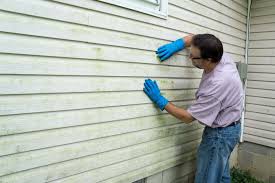 Professional Siding in Wesley Chapel, FL